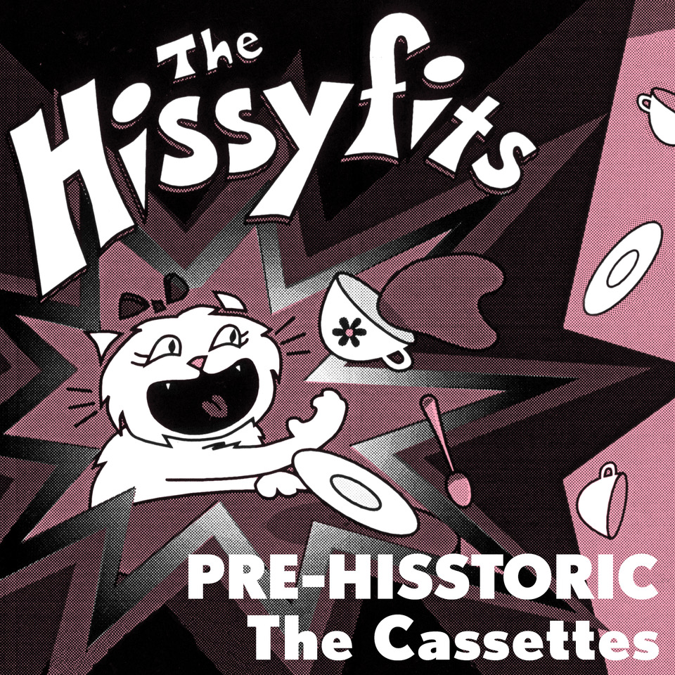 The Cassettes Hissyfits (cover)